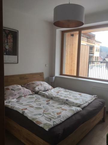 Apartman Cihadla Bedrichov  Exterior photo